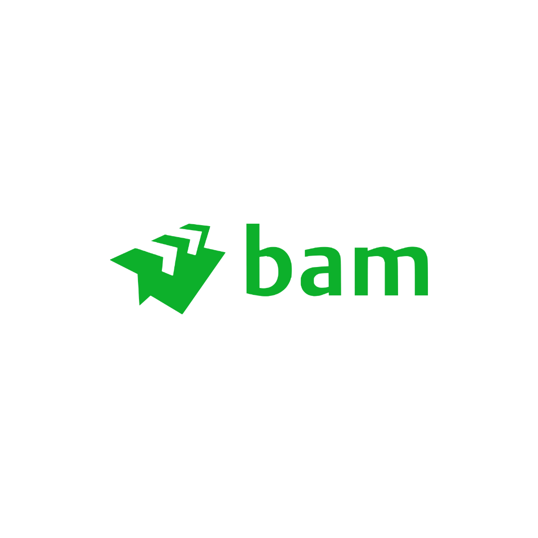 BAM Infra
