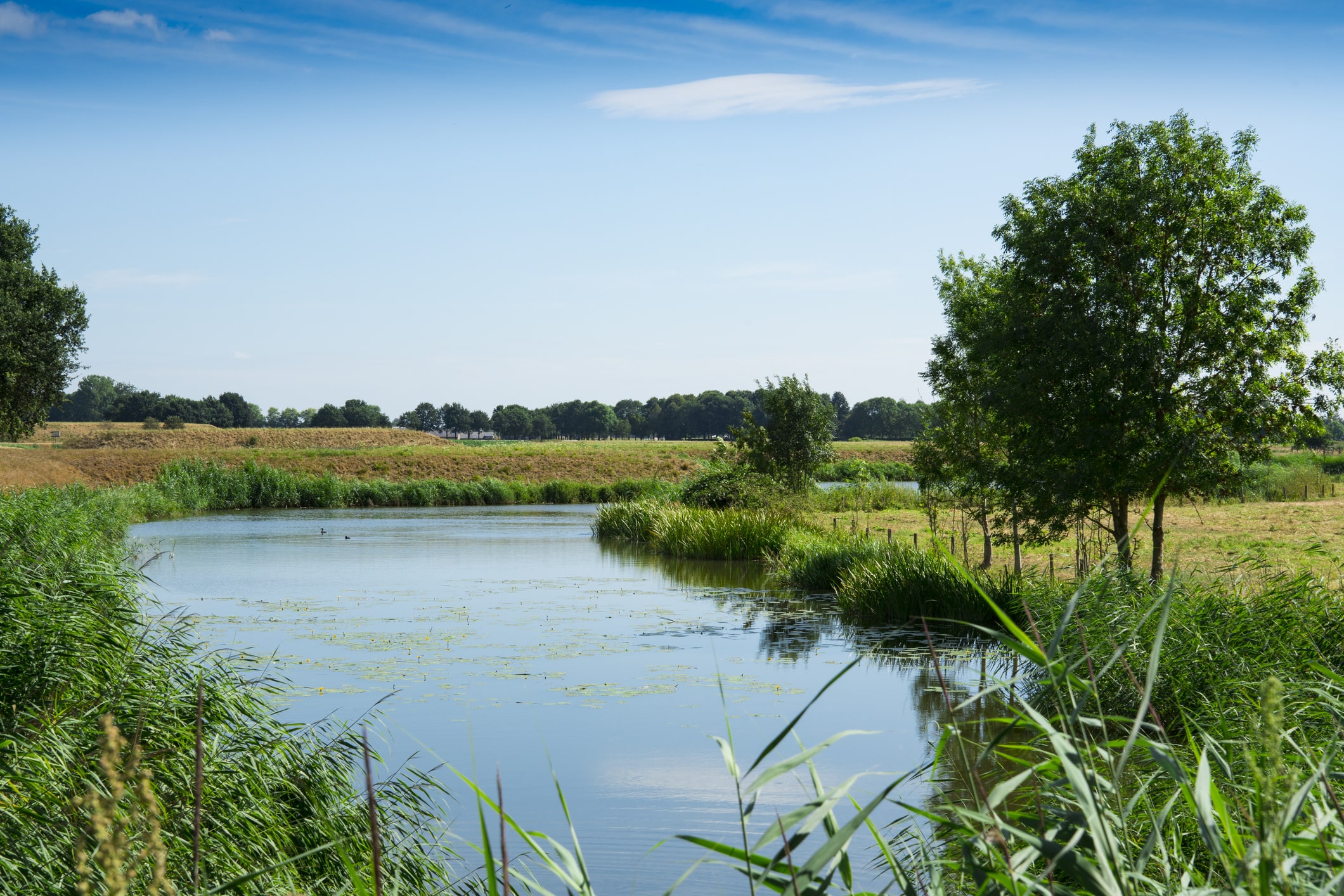 Brabant water
